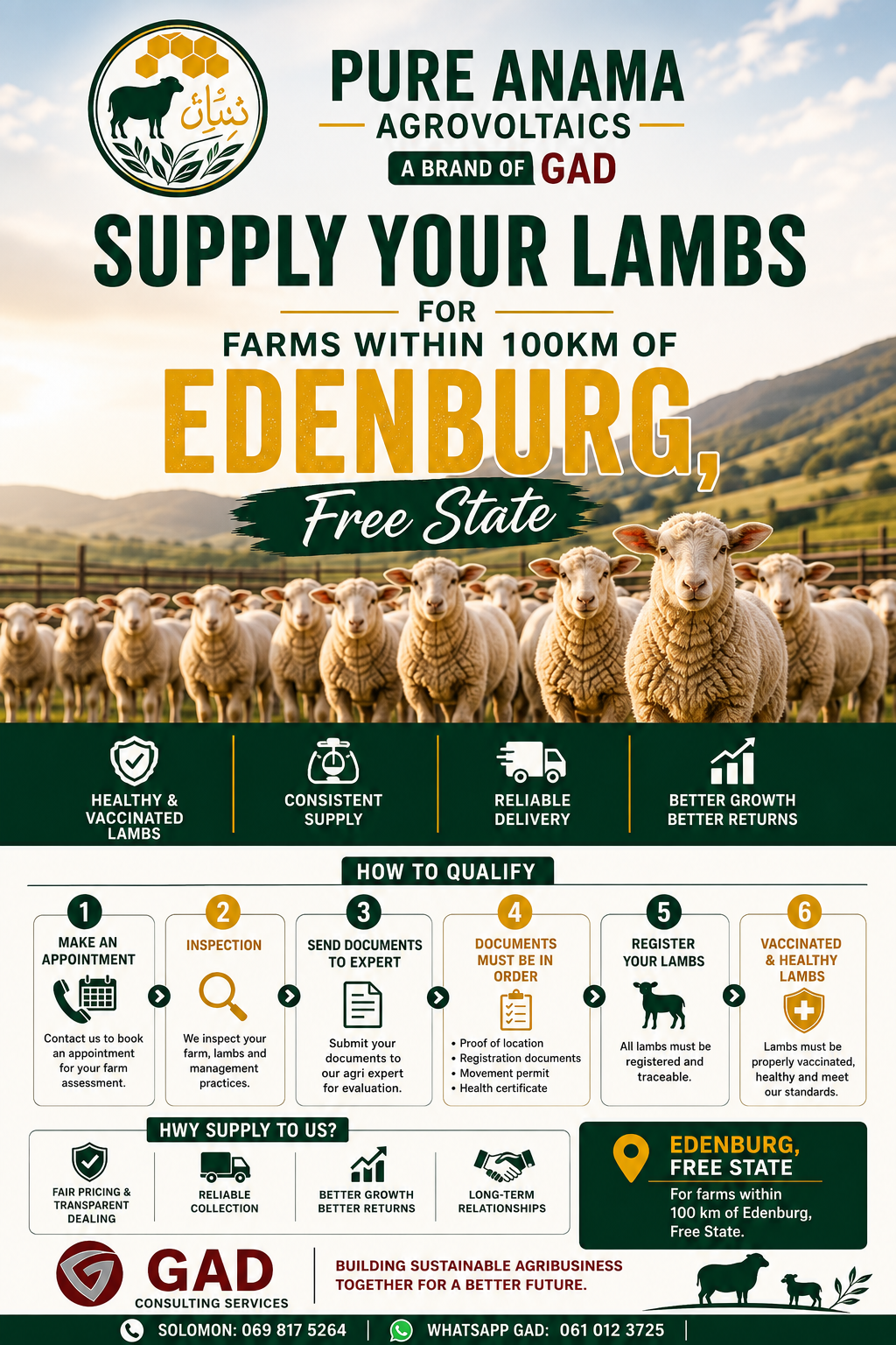Pure Anama Lamb Supply Programme